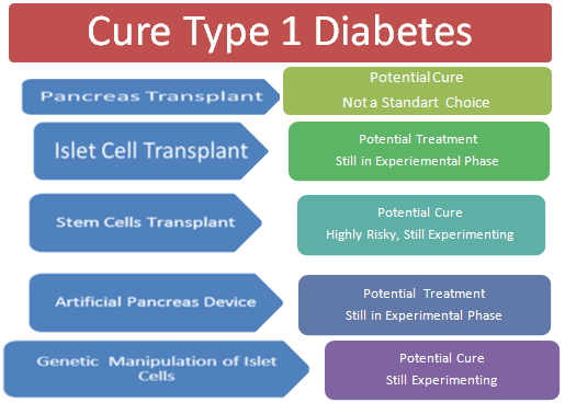 What are some foods that Type 1 diabetics can eat?