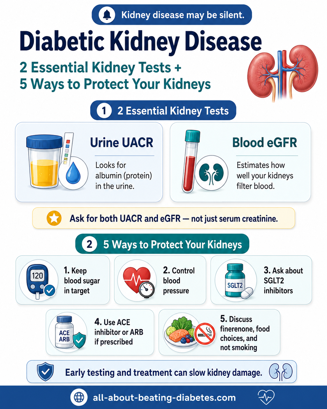 diabetic kidney disease tests how to protect