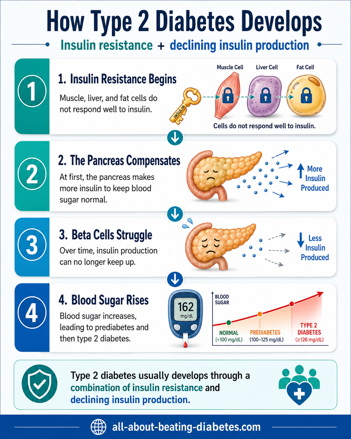 how type 2 diabetes develops
