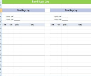 diabetes log sheet