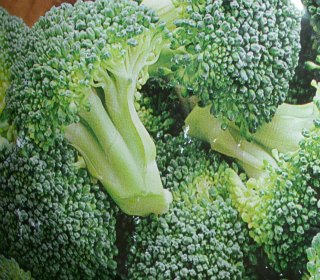brocolichromium brocolichromium