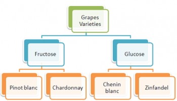 grapes glucose