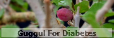 guggul herbs benefits diabetes