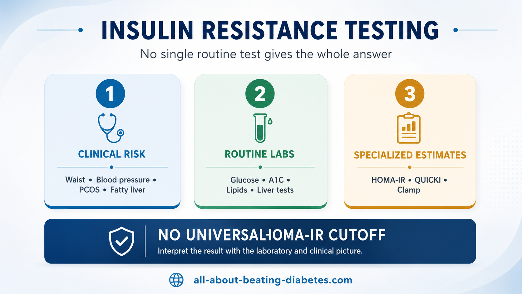 insulin resistance testing