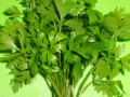 parsley vanadium
