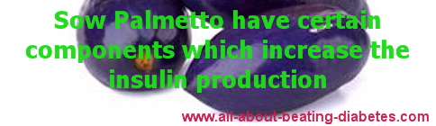 benefits of saw palmetto for diabetes