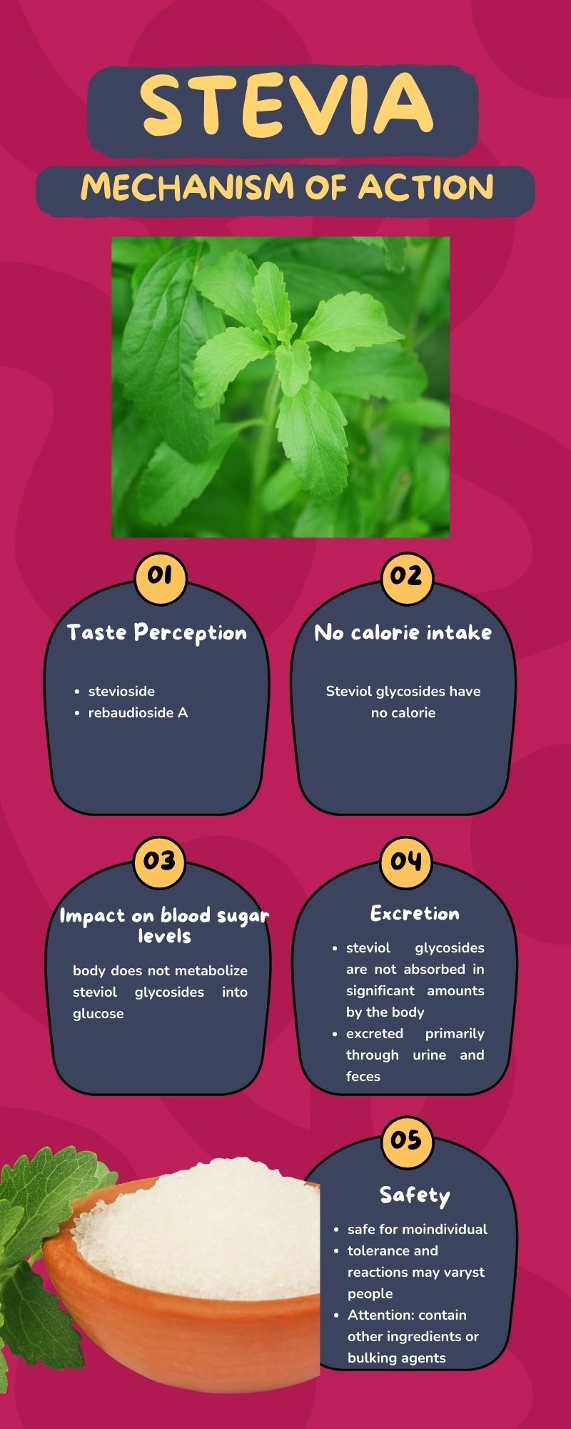Stevia-mechanism-action