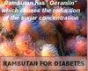 Rambutan For Diabetes