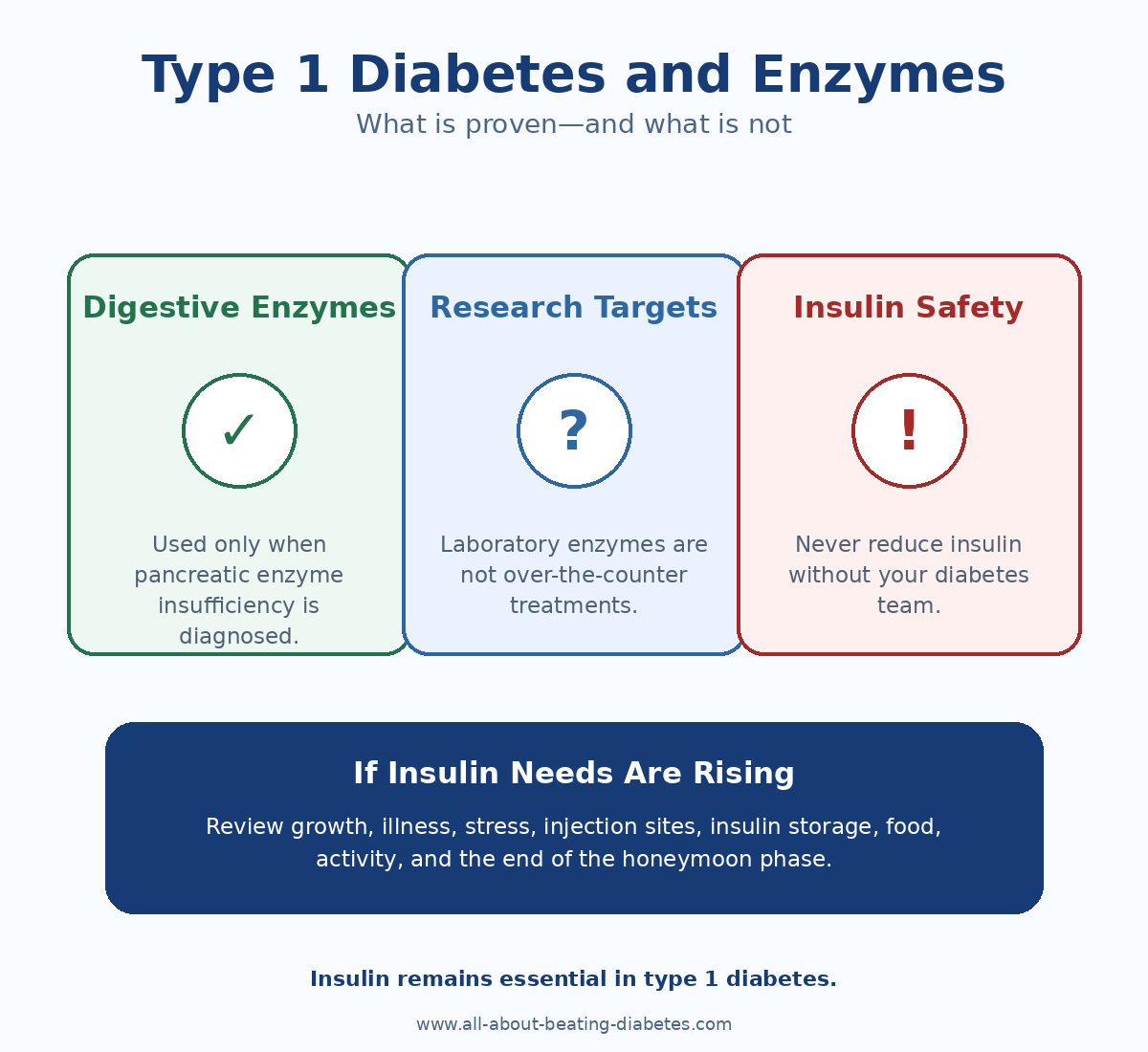 Type 1 diabetes and enzymes infographic explaining digestive enzymes, research targets, insulin safety, and rising insulin needs