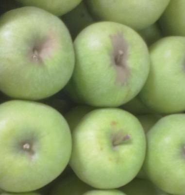 Apple And  Type 2 Diabetes