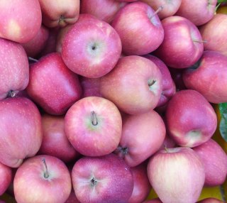 Apples as one example of whole foods that provide vitamins, minerals, fiber, and carbohydrate