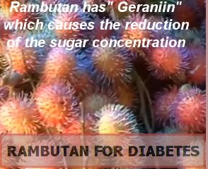 Rambutan For Diabetes