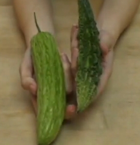 Two varieties of fresh bitter melon before preparation